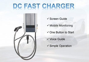 DC Fast EV Charger For Commercial Use CCS1 CCS2 Chademo GB/T With APP Wifi Cloud Operate System