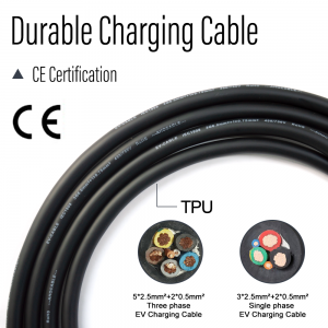 7kW-22kW AC EV Charger Wallbox with DLB